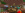 2022-05-16_16.17.58.png