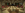 2022-11-07_16.54.48.png