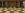 2022-11-07_16.55.02.png