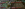 upload_2023-8-13_10-43-46.png