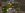 2024-01-13_14.42.47.png