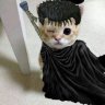 BlackDevil